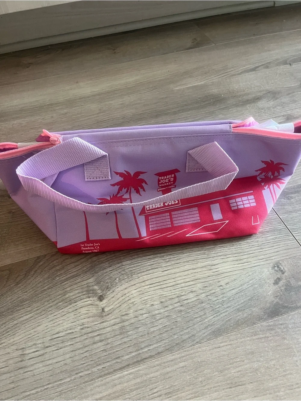 Trader Joe’s Purple and Pink Insulated Lunch Bag